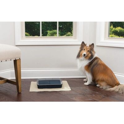 PetSafe Zwei Mahlzeiten Automatischer Futternapf - Digital 4-Tage Programmierung PetSafe Zwei Mahlzeiten Automatischer Futternapf - Digital 4-Tage Programmierung