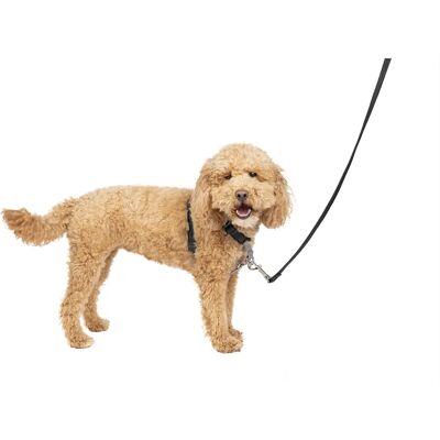 PetSafe Model S, M, L - Harness and Car Restraint PetSafe Model S, M, L - Harness and Car Restraint