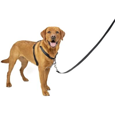Harnais et ceinture de voiture PetSafe 3-en-1, Grand - Publicité Harnais et ceinture de voiture PetSafe 3-en-1, Grand - Publicité