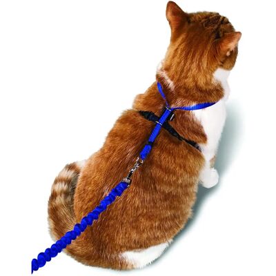 PetSafe EasyWalk Verstellbares Katzengeschirr - Blau - 3 Größen PetSafe EasyWalk Verstellbares Katzengeschirr - Blau - 3 Größen