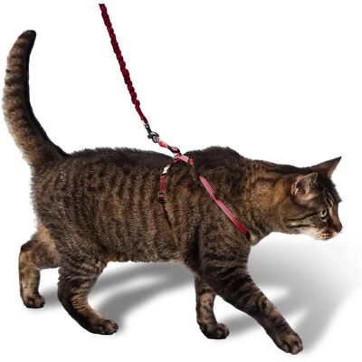 Easy Walk Katzenhalsband und Leine - Rot - S-L Easy Walk Katzenhalsband und Leine - Rot - S-L