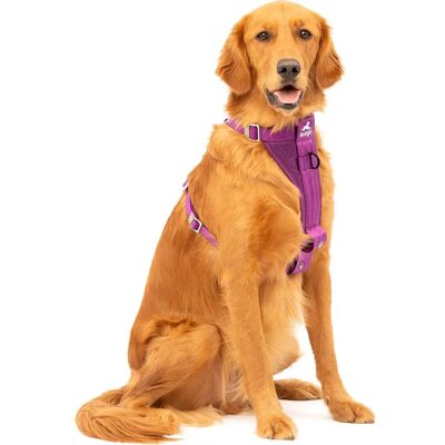 Harnais intelligent Kurgo renforcé - Harnais de sécurité pour chiens - Publicité Harnais intelligent Kurgo renforcé - Harnais de sécurité pour chiens - Publicité