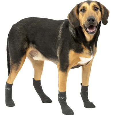 Kurgo POG30-17605 Chaussettes - Support & Confort pour Chaussures de Chien Kurgo POG30-17605 Chaussettes - Support & Confort pour Chaussures de Chien