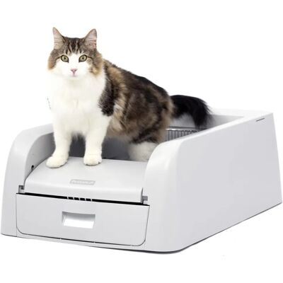 PetSafe PetSafe ScoopFree Caja de Arena Autolimpiable - Blanco PetSafe PetSafe ScoopFree Caja de Arena Autolimpiable - Blanco