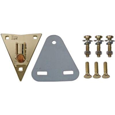 Latin Percussion Piastre Laterali Conga - Oro - 50° Anniversario - Tipo Conga Latin Percussion Piastre Laterali Conga - Oro - 50° Anniversario - Tipo Conga