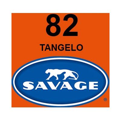 Sfondo da Studio Savage 82-12 Arancione Sfondo da Studio Savage 82-12 Arancione