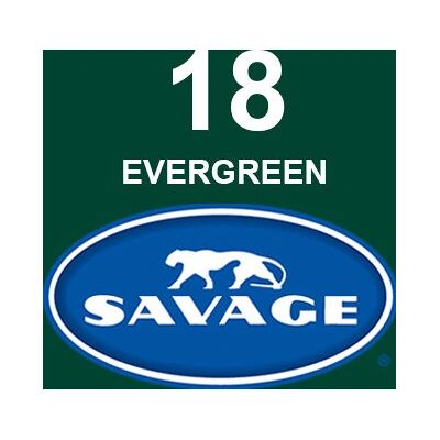 Carta Verde 2.72x11m Savage - Carta Carta Verde 2.72x11m Savage - Carta
