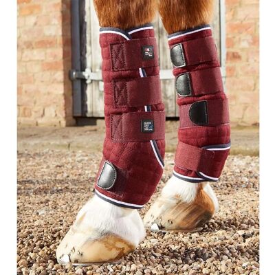 PREMIER EQUINE Protège-jambes pour cheval - Protège-jambes pour cheval - Publicité PREMIER EQUINE Protège-jambes pour cheval - Protège-jambes pour cheval - Publicité