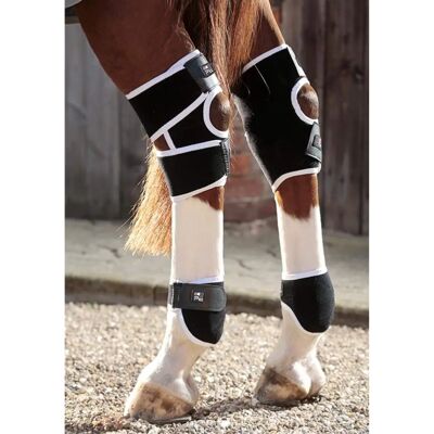 PREMIER EQUINE Protections Magnétiques pour Jambes de Cheval - Bottes Magnétiques Fetlock - Publicité PREMIER EQUINE Protections Magnétiques pour Jambes de Cheval - Bottes Magnétiques Fetlock - Publicité