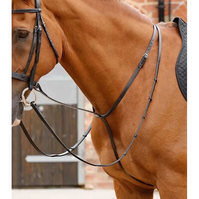 PREMIER EQUINE Gressan - Martingal für Pferde PREMIER EQUINE Gressan - Martingal für Pferde