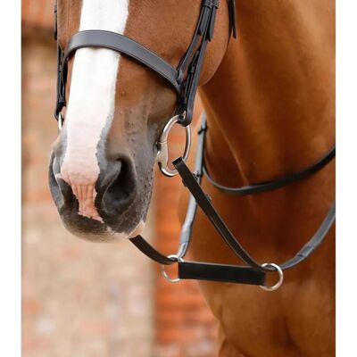 Premier Equine Esperia Irish - Schwarze Reithalfter - Pferde-Martingal Premier Equine Esperia Irish - Schwarze Reithalfter - Pferde-Martingal