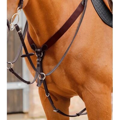 Premier Equine Baressa - Mörkbrun Martingala - Pferdeausrüstung Premier Equine Baressa - Mörkbrun Martingala - Pferdeausrüstung