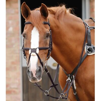 PREMIER EQUINE Reitriemen - Gummi, Italienisches Leder, Edelstahlbeschläge PREMIER EQUINE Reitriemen - Gummi, Italienisches Leder, Edelstahlbeschläge