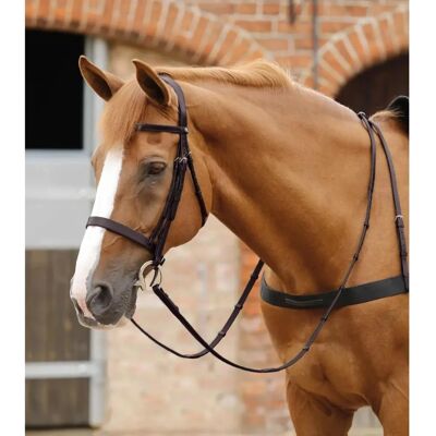Premier Equine Salvatore Dunkelbraune Lederreithalfter Premier Equine Salvatore Dunkelbraune Lederreithalfter