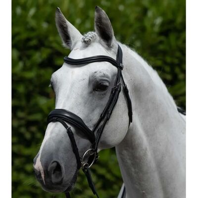 Premier Equine Liscio Pferde Stirnband - Elegantes Einfaches Italienisches Leder Premier Equine Liscio Pferde Stirnband - Elegantes Einfaches Italienisches Leder