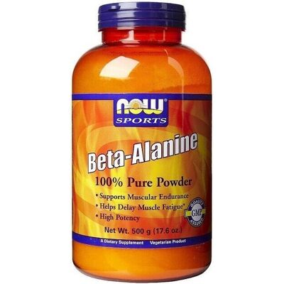 NOW Foods Carnosyn Beta Alanina Proszek - Suplementy diety NOW Foods Carnosyn Beta Alanina Proszek - Suplementy diety
