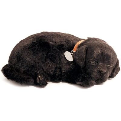 Perfect Petzzz Labrador Weiches Plüschspielzeug - Plüschtier Perfect Petzzz Labrador Weiches Plüschspielzeug - Plüschtier