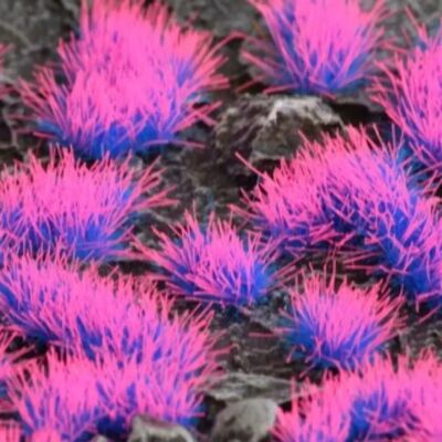 Gamers Grass Alien Neon 4mm Bleu Rose - Tufs de Modélisation - Publicité Gamers Grass Alien Neon 4mm Bleu Rose - Tufs de Modélisation - Publicité