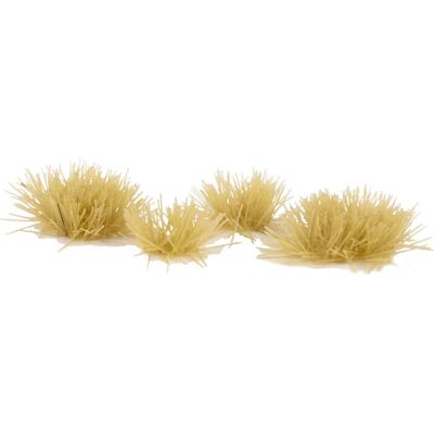 GamersGrass GGTT-BE Maßstabsmodell-Teil - Winzige Büschel Beige GamersGrass GGTT-BE Maßstabsmodell-Teil - Winzige Büschel Beige
