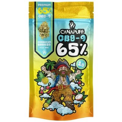 Canapuff CBG9 Blumen Karibische Brise - Flowers Canapuff CBG9 Blumen Karibische Brise - Flowers