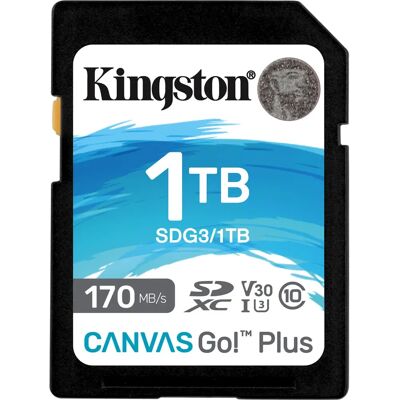 Kingston Canvas Go! Plus SDXC - 1TB - Publicité Kingston Canvas Go! Plus SDXC - 1TB - Publicité
