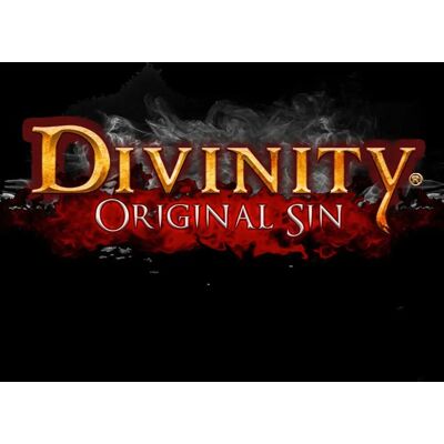 Larian Studios Divinity : Original Sin - PC RPG - Publicité Larian Studios Divinity : Original Sin - PC RPG - Publicité