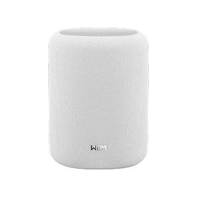 Caixa de som portátil WiiM Sound LITE - 100 W - Branca Caixa de som portátil WiiM Sound LITE - 100 W - Branca