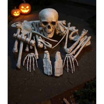 Livingandhome - 28Pcs Skull Bone Skeleton Kit - White Livingandhome - 28Pcs Skull Bone Skeleton Kit - White