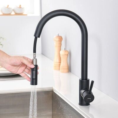 Rubinetto da Cucina Lonheo in Acciaio Inox - Girevole a 360°, Estraibile, 2 Modalità Rubinetto da Cucina Lonheo in Acciaio Inox - Girevole a 360°, Estraibile, 2 Modalità