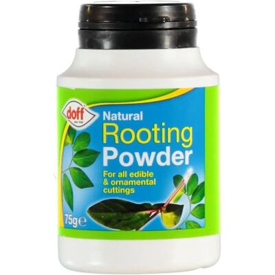 Doff - Hormone Rooting Powder - 75g - Rooting Powder Doff - Hormone Rooting Powder - 75g - Rooting Powder