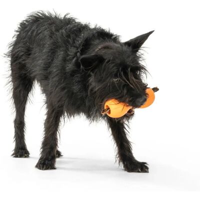 West Paw Qwizl Oransje - Hundespill West Paw Qwizl Oransje - Hundespill