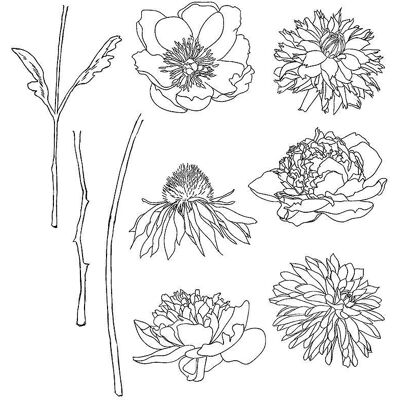 Tim Holtz Cling Stamps - Flower Garden - Cling, Rubber, 7x8.5" Tim Holtz Cling Stamps - Flower Garden - Cling, Rubber, 7x8.5"