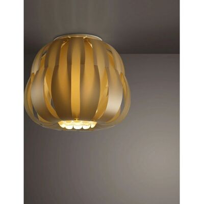 LINEA ZERO D25 - Lámpara de Techo Moderna - Oro LINEA ZERO D25 - Lámpara de Techo Moderna - Oro