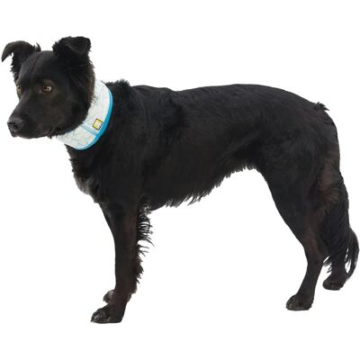 Ruffwear - Swamp Cooler Neck Gaiter - Biolumin Blue Ruffwear - Swamp Cooler Neck Gaiter - Biolumin Blue