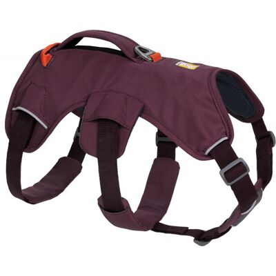 Ruffwear - Web Master Harness - Purple Rain - harnais pour chien - Publicité Ruffwear - Web Master Harness - Purple Rain - harnais pour chien - Publicité