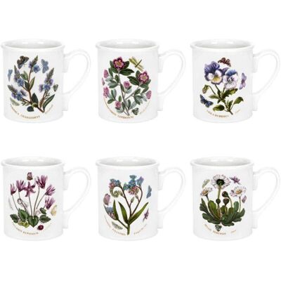 Portmeirion Botanic Garden Flower Breakfast Mug Set of 6 White/Multi Portmeirion Botanic Garden Flower Breakfast Mug Set of 6 White/Multi