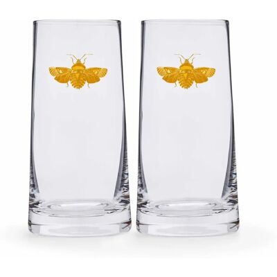 Verres Highball Spode Creatures of Curiosity - Moth Doré - Publicité Verres Highball Spode Creatures of Curiosity - Moth Doré - Publicité