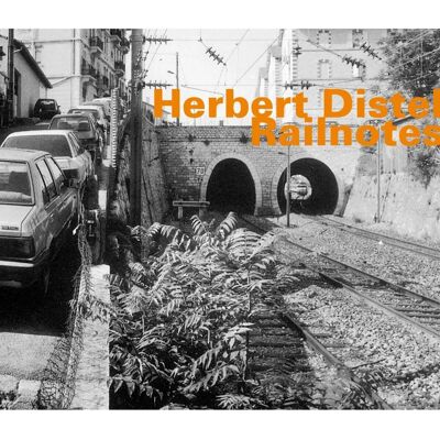 AK Prints Richard Hell & The Voidoids - Destiny Street Complet CD 2 Disques 2021 AK Prints Richard Hell & The Voidoids - Destiny Street Complet CD 2 Disques 2021