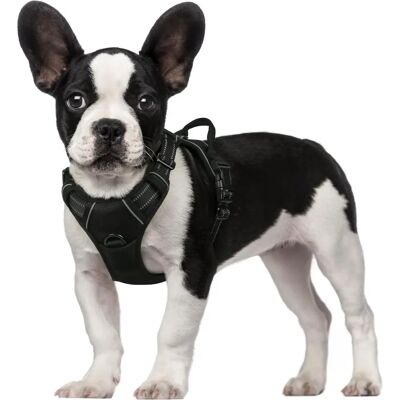 Harnais pour chien WaceFun petit sans traction - Mousse réfléchissante, réglable, léger - Publicité Harnais pour chien WaceFun petit sans traction - Mousse réfléchissante, réglable, léger - Publicité