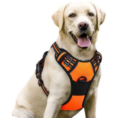 rabbitgoo - Harnais chien grand - réfléchissant - 2 clips de laisse - Harnais pour chien - Publicité rabbitgoo - Harnais chien grand - réfléchissant - 2 clips de laisse - Harnais pour chien - Publicité