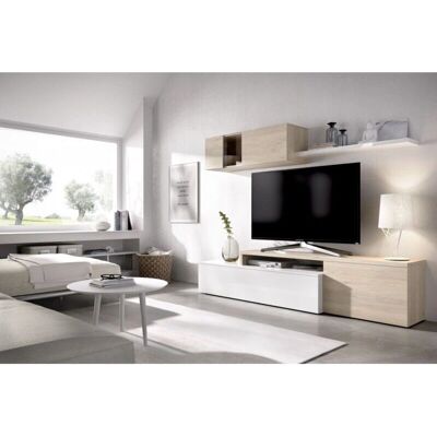 Caesaroo Wandmontage mit TV-Möbel - Modern, Reversibel, 60kg Support Caesaroo Wandmontage mit TV-Möbel - Modern, Reversibel, 60kg Support