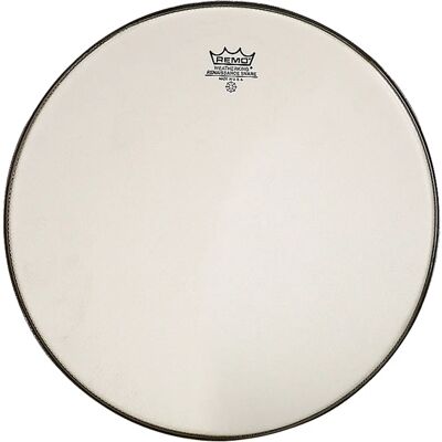Remo Renaissance Ambassador Caisse Claire 10" - Caisse Claire - Publicité Remo Renaissance Ambassador Caisse Claire 10" - Caisse Claire - Publicité
