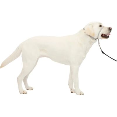 PetSafe Gentle Leader No-Pull Dog Headcollar - The Ultimate Solution to Pulling PetSafe Gentle Leader No-Pull Dog Headcollar - The Ultimate Solution to Pulling