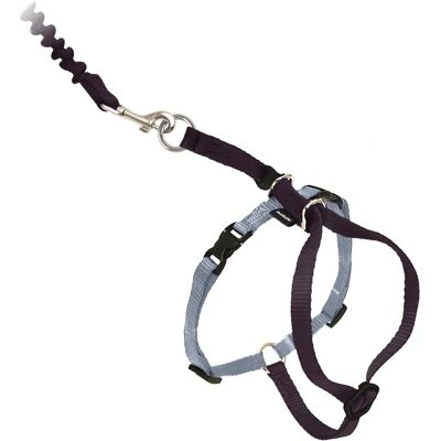 Petsafe CWMK-L-BLK - Halsband en riem Petsafe CWMK-L-BLK - Halsband en riem
