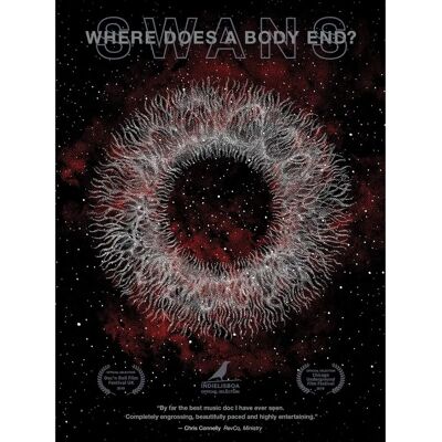 MVD Visual ¿Dónde termina un cuerpo? - Edición Deluxe - EE.UU. MVD Visual ¿Dónde termina un cuerpo? - Edición Deluxe - EE.UU.