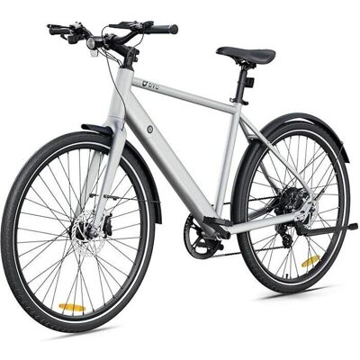 DYU Stroll 1 Vélo électrique argenté - E-Bike - Publicité DYU Stroll 1 Vélo électrique argenté - E-Bike - Publicité