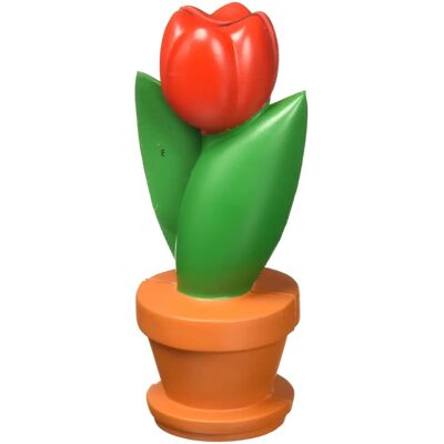 Modèle de coupe de fleur Learning Resources - Modèle éducatif pour enfants Modèle de coupe de fleur Learning Resources - Modèle éducatif pour enfants