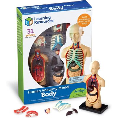 Learning Resources LER3336 Mänskliga Kroppen Modell - Anatomi Kit Learning Resources LER3336 Mänskliga Kroppen Modell - Anatomi Kit