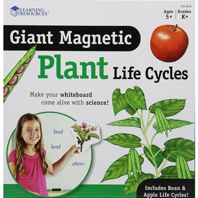 Learning Resources Cycle magnétique de la plante Learning Resources Cycle magnétique de la plante