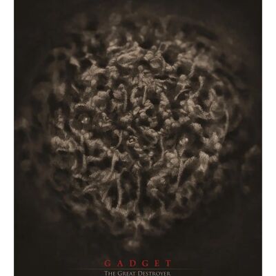Gadget The Great Destroyer CD - Brutal grindcore Gadget The Great Destroyer CD - Brutal grindcore